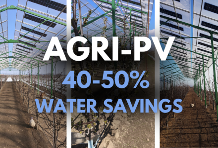 What happens when you place semi-transparent photovoltaic panels above a black bitter cherry orchard and combine them with IoT sensors and AI-driven irrigation