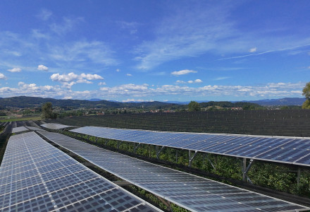 Perspective view of the Agri-PV installation in Slovenia showing apple rows under Brite Solar’s innovative panels.