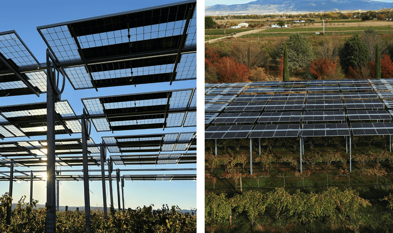 Aerial view of the Agri-PV vineyard project at Colorado State University.