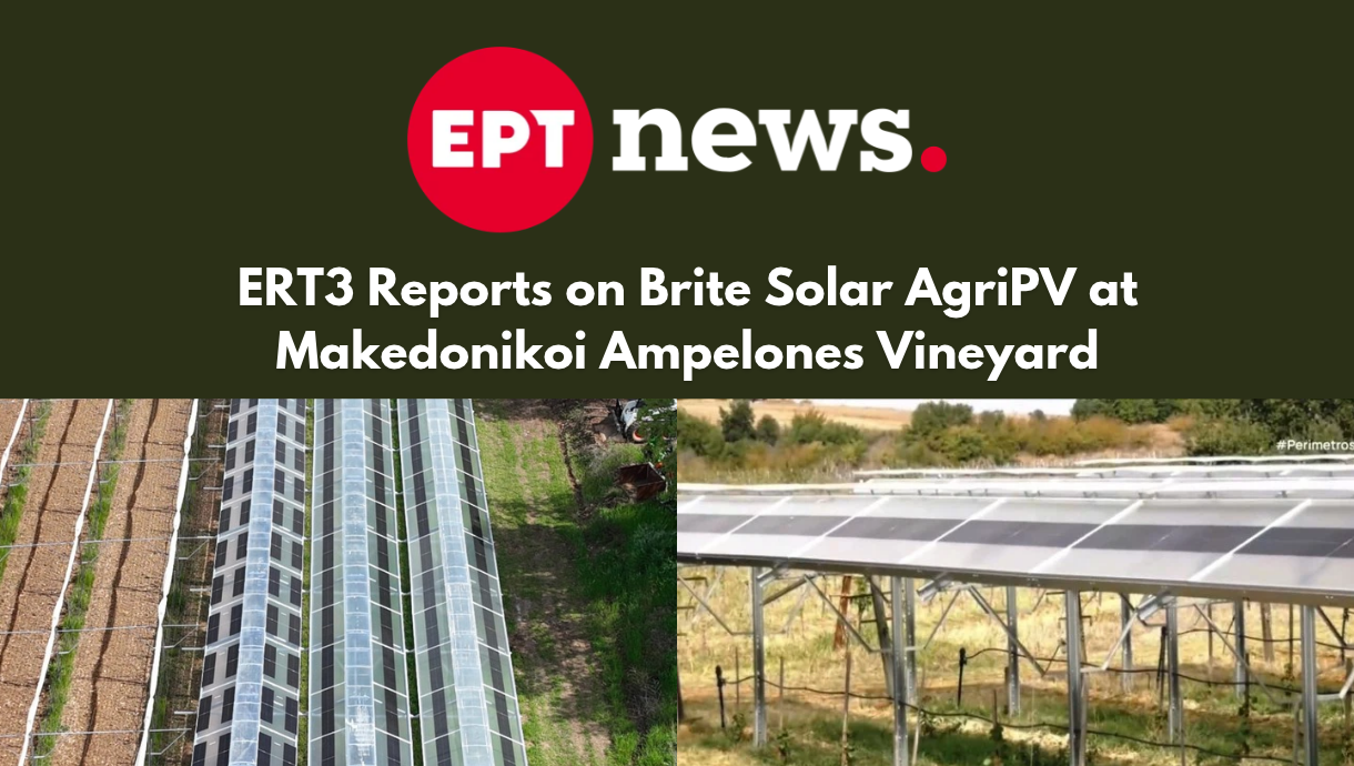 Aerial and ground view of Brite Solar AAgri-PV in Open Field Vineyard CultivationgriPV installation at Makedonikoi Ampelones, Terpyllos, Kilkis, Northern Greece, as featured in ERT3 report by journalist Nikos Pitsiakidis, October 2026.